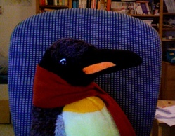 Mein Lieblings-Stoffpinguin.